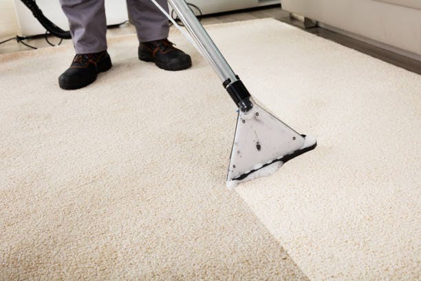 floor cleaning and carpet cleaning services