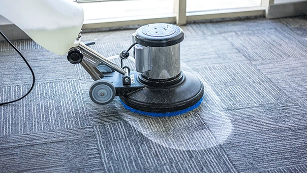 Carpet Cleaning Services in Berkeley, CA