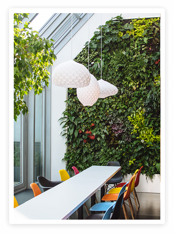 Janitorial Services in Berkeley, CA